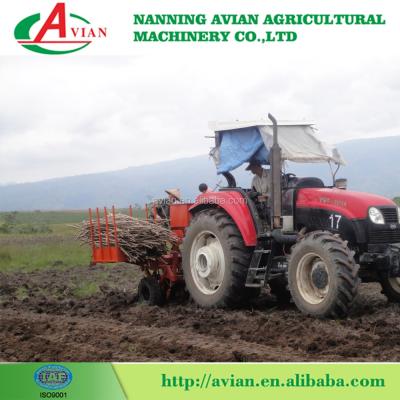 China China AVIAN hot sale seed planter and 2 tier cassava spike planter/seed planter for sale