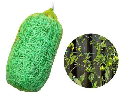 China High Quality HDPE+UV Trellis Plant Support Net Agricultural Climbing Net for sale