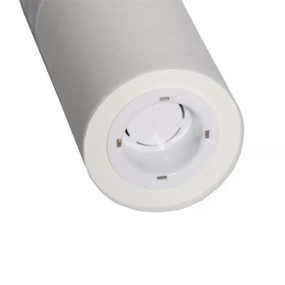 China Japan Manufacturer Factory RZ A4 Ztype30 Z type30 Ztype Master Roll For Risos RZ200 220 230 S-4250 S4250 S-4250 S2632 Master Ink for sale