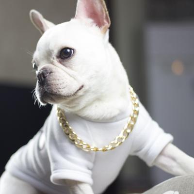 China Large Perros Collares Luxury Pet Stocked Gold Hip Hop Leads Chains Kit Dog Collars Choke Collar Leash XL Bully Cuban Dog Chain for sale