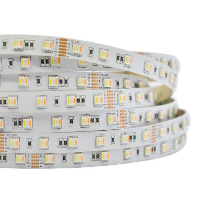 China Hot Sale Flexible LANDSCAPE RGBWW LED Strip 5050 DC24V 60LEDs/m LED Light 300LEDs for sale