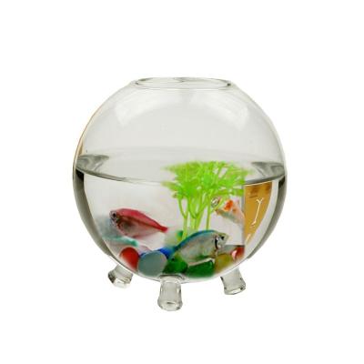 China Contemporary Unique Home Aquarium Hydroponics Decoration Wall Mounted Glass Vase for sale