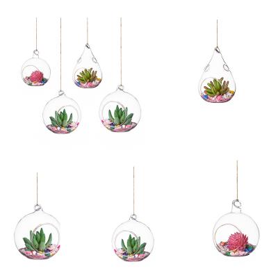 China Africa Clear Globe Flower Pot Holder Air Plant Mini Greenhouse Glass Hanging Vase For Home Decoration for sale