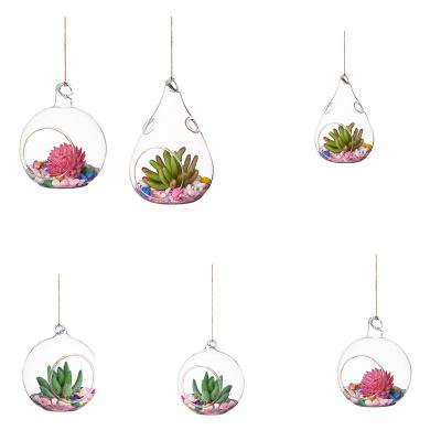 China Europe Glass Ball Globe Shape Flower Plant Mini Greenhouse Creative Hanging Clear Container Garden Office Decor for sale