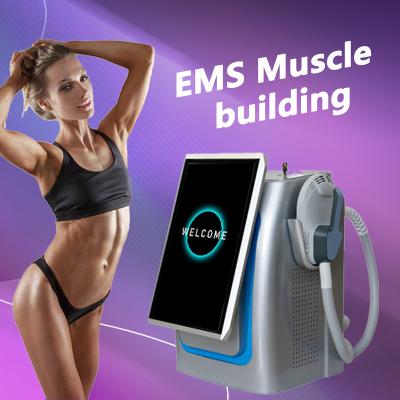 China 600w 5 Handles EMS Sculpting Machine For Neo RF 14 Tesla Bodi Sculpting Body Slimming for sale