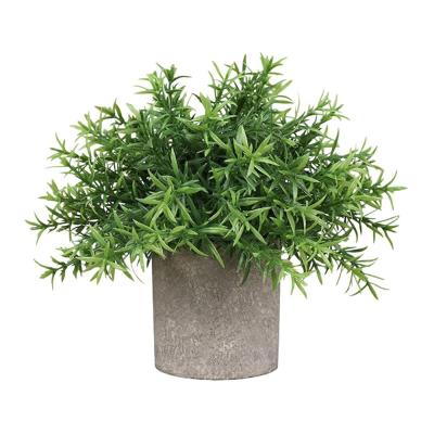 China Hedyotis Plant DS520 Plant DS520 Nordic Touch Cipher Potted Ornamental Artificial Mini Indoor Decorations for sale