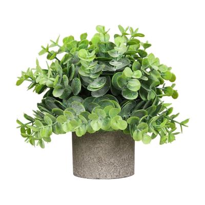 China Plant DS521 Nordic Ornamental Artificial Desktop Dusting Mini Indoor Decorations Large Natural Touch Cipher Eucalyptus for sale