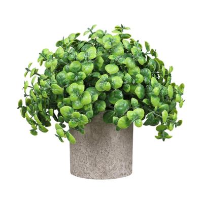 China Natural Touch Dusting Cipher Potted Plastic Artificial Clover Plants DS522 Nordic Mini Indoor Office Decorations for sale