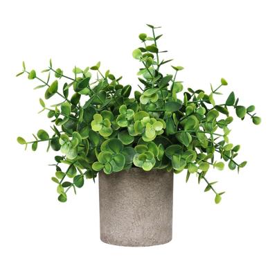 China Nordic Plant DS502 Mini Potted Plant Potted Artificial Touch Eucalyptus Large Natural Desktop Plants In Pots For Indoor Home Decor for sale