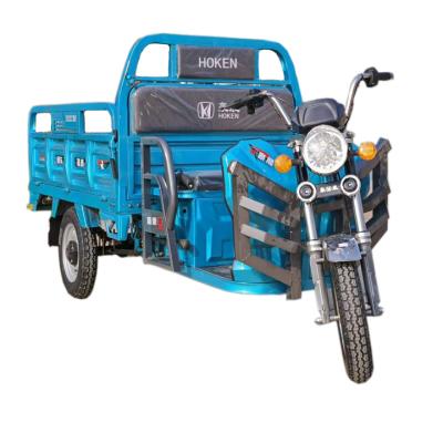 China Hot selling durable adult china electric passenger electric passenger older older electric tricycle for sale