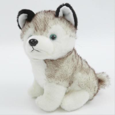 China Wholesale Custom Stuffed Plush Toy Kids Soft Toy Husky Dog Toy for sale