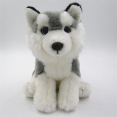 China Plush Toy Stuffed Plush Toy Kids Dog Toys Husky Dog Plush Toy for sale