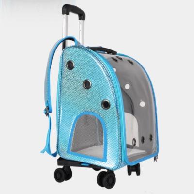 China Transparent Designer Stored Pet Bag Travel Outside Backpack Breathable Bag for sale