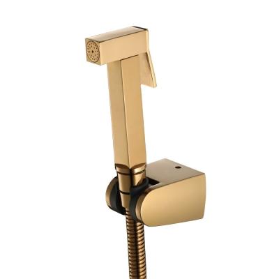 China Gold Bathroom Cleaning Tool Toilet Bidet Diaper Spray Shower Head Nozzle Toilet Clean for sale