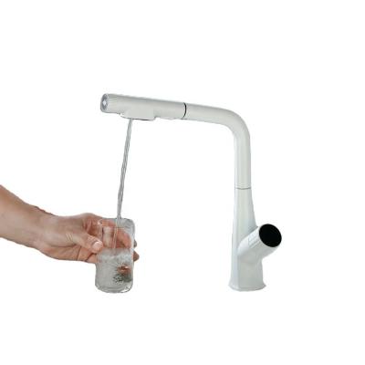 China Modern Kitchen Sink Mixer Taps with Pull Out Spray and Single Handle Copper Faucet for sale