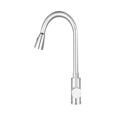 China Silver 2024Lizhen Hua-Vic Kitchen Mixer Tap Pull Out 2 Mode Sink Faucet Basin Laundry Chrome Hot and cold water optional for sale