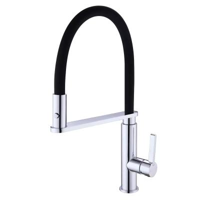 China Easy To Install and Simple Atmosphere Lizhen Swivel Pull Out Down Spout Kitchen Faucet for sale