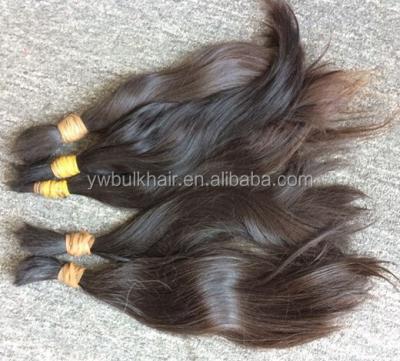 China High Quality Unprocessed Indian Raw Virgin Human Hair Bulk Natural Wave for sale