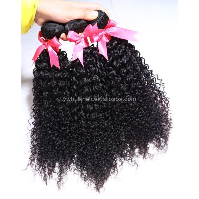 China 8A Virgin Curly Hair YL KBL Curly Hair Color 100 Color 100 Natural Hair Brazilian Curly Hair Bundles Brazilian Hair Wholesale for sale