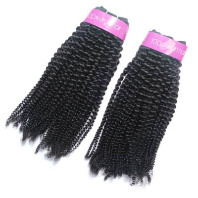 China 2016 Afro Kinky Curly Hair Extensions Indian Curly Full Afro Kinky Curly Hair Wholesale Good Quality Cuticle Curly for sale