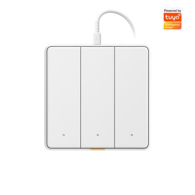 China Tuya WIFI Touch Switch Hogar inteligente con aplicación de timing de voz tipo C Alexa, Google Home RF433 Smart EU Switch con botón de luz de pared en venta