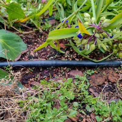 Chine Garden Irrigation Water Saving Drip Irrigation Belt In Agriculture 16mm Round Drip Irrigation Hose à vendre