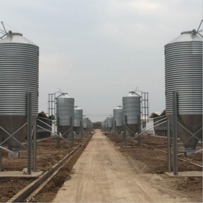 China Poultry farm feeding in Muhe hot sale 20T poultry feed silo used for poultry farm small grain silo for sale