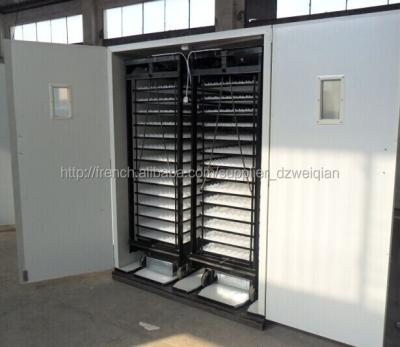 China Brooder 10000 Chicken Eggs , Brooder Chicken Best Price Eggs WQ- 9856 for sale