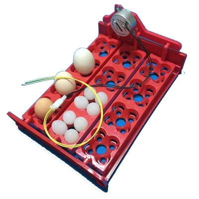 China mini bird incubator egg tray with motor, egg turner tray, plastic incubator egg tray for mini incubators for sale