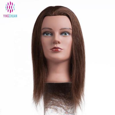 China 100% Mannequin Head Hair Training Head Manikin Head for sale