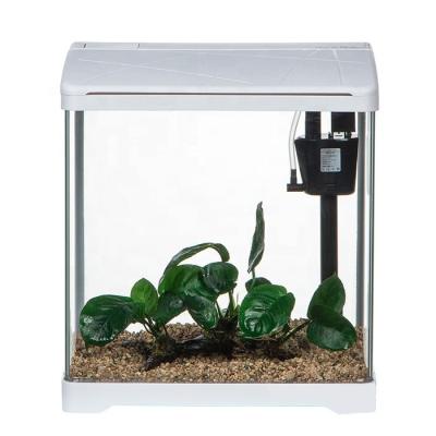 China Home Decorative Viable Aquarium Fish Tank Glass Container for sale