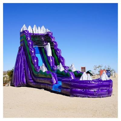 China PVC Customize Purple Giant Inflatable Inflatable Water Slide Adult Size Inflatable Water Slide For Sale for sale