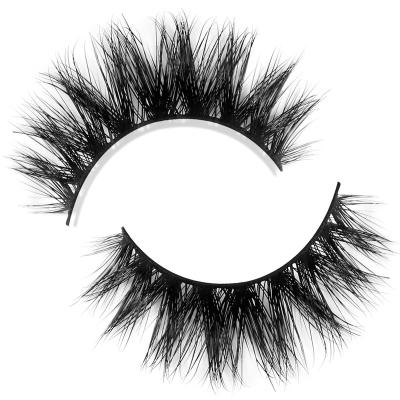 China Sassi Hiter Eyelash Private Label Natural Long Eyelash False Eyelashes Packaging Dropship Mink Lashes for sale