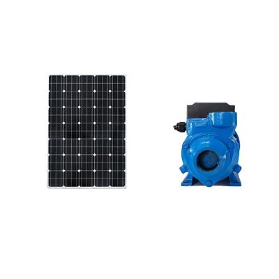 China WDDM 24V 230W DC Motor Portable Solar Water Pump for sale