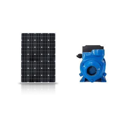 China WDDM 12V DC Portable Solar Powered Surface Water Pump No Need Controller for sale