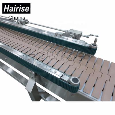 China Hairise 20% Economy Flexible Drag Plastic Chain Conveyor System Pdf Singapore Malaysia for sale