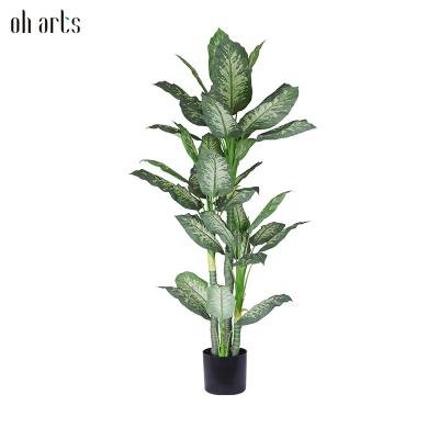 China Dieffenbachia Height Plants Tropical Plants Decorative Artificial Tree Plant Indoor Garden Use For Indoor Outdoor for sale