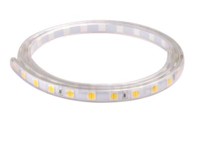 China 15W/m-PFEILER super helles Streifen-Band Hochspannungs-LED beleuchtet mit 11MM Wechselstrom-Stecker zu verkaufen