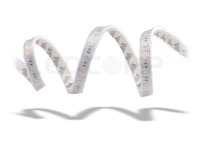 Κίνα 19.2W Home RGBW High Lumen LED Strip Lights 60 LEDs / M 3 Years Warranty προς πώληση