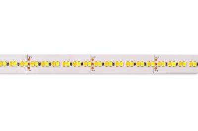 中国 Twin Color LED Strip New High Lumen 2835 240 LEDs/m high lumen TW Product Advantages 販売のため