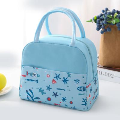 China Reevision New Eco-Friendly Portable Insulated Multifunctional Aluminum Thermal Food Tote Cooler Bag Double Compartment Picnic Lunch Bag for sale