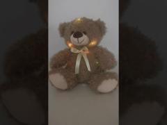 Educational Function 11.8 Inch LED Plush Toy Teddy Bear Stuffed Animal