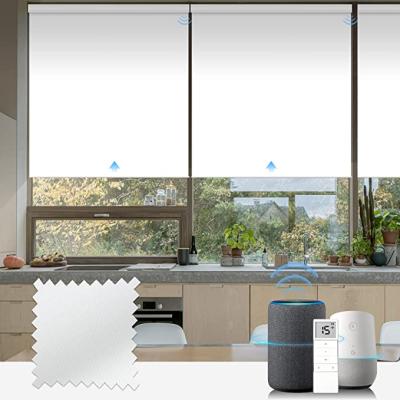 China Yes Cassette Wifi Auto Motorized Roller Blinds, Smart Google Home Control Window Roller Shades for sale