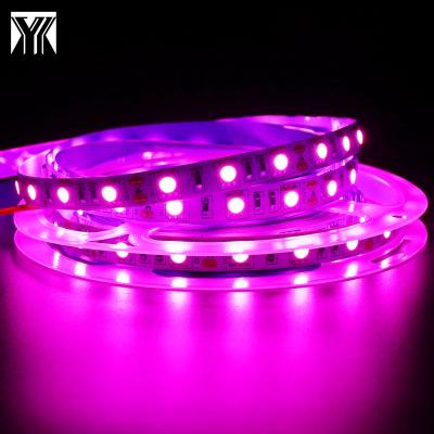 China LANDSCAPE Factory Wholesale Price SMD 5050 12V IP20 60D Hot Selling Pink 10mm Flexible Strip Light for sale