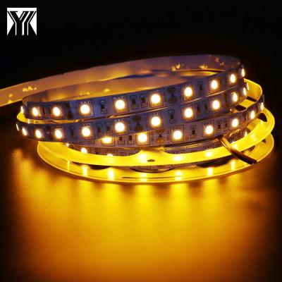 China LANDSCAPE Amazon Hot Sale High Efficiency Single Yellow Color SMD 5050 12V IP20 60D 10mm Flexible Strip Light for sale