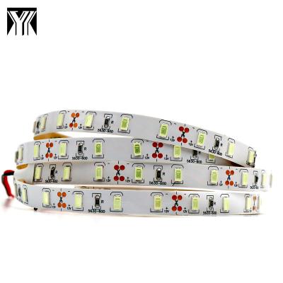 China Factory price LANDSCAPE 60leds DC12V SMD5630/5730 10mm cold white flexible LED lighting strip for sale