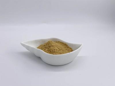 Cina Estratto 10% di Breviconum di epimedium in vendita