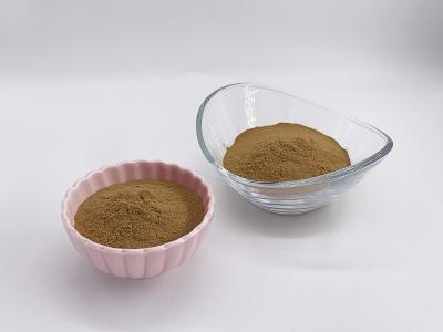 China Salvia miltiorrhiza Extract Powder with 7% Salvianolic acid B and 0.3% Tanshinone II A for sale