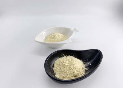 Cina Papaia Juice Freeze Dried Powder come additivi alimentari in vendita