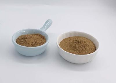 China USP Grade Ginkgo Biloba Extract for sale